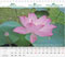 calendar2008_07