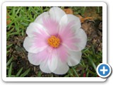 muoi_gio-(22)